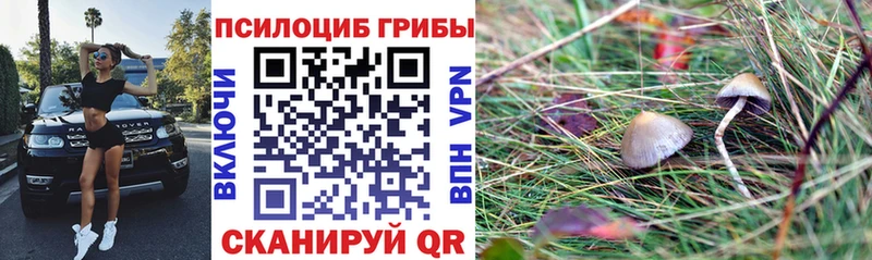 Галлюциногенные грибы ЛСД  Шебекино 